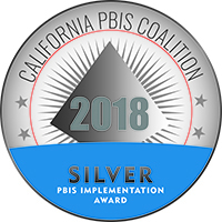 silver 18